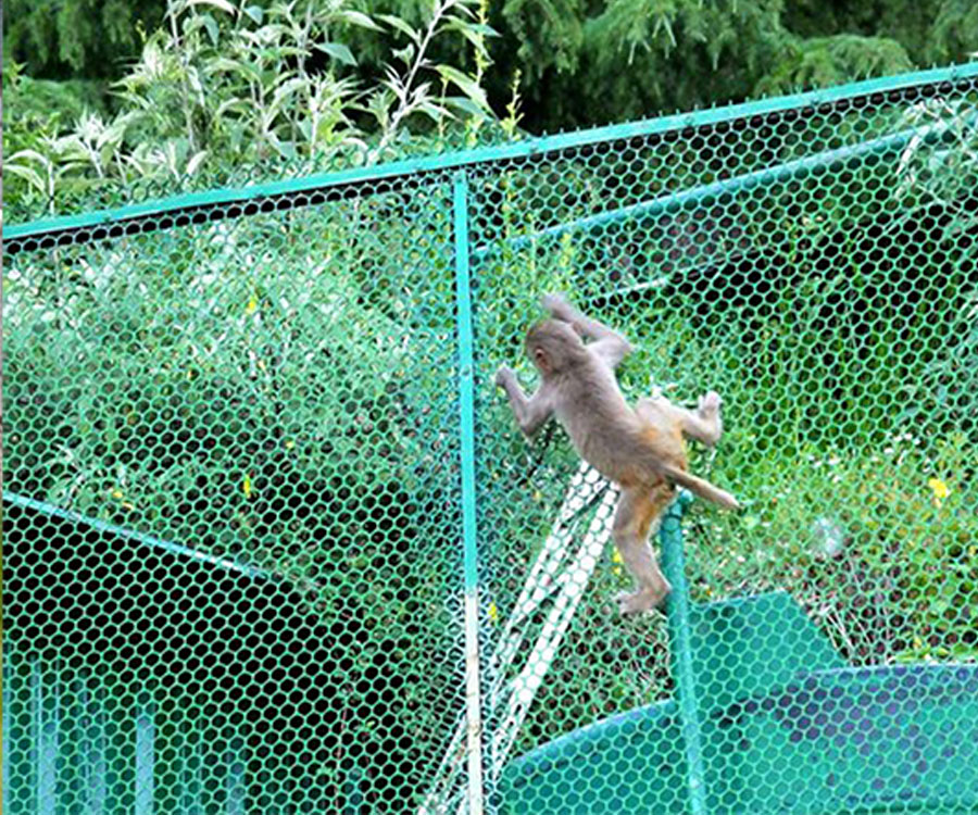 Monkey Net For Balcony